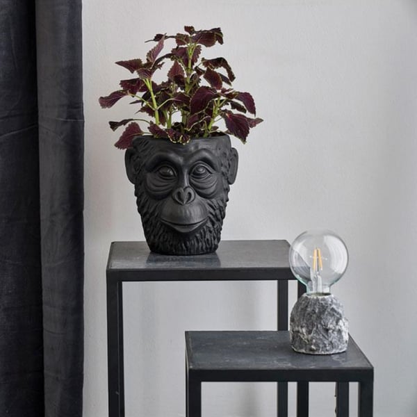 Κασπώ Γορίλας μεγάλος black 341752